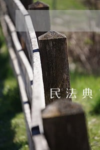 民法典16岁成年 民法典16岁成年