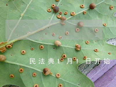 民法典1月1日开始 民法典1月1日开始