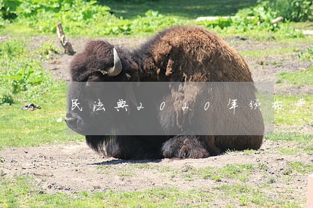 民法典2020年颁布产假 民法典2020年颁布产假