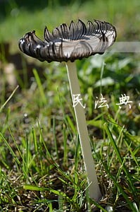 民法典2021年竞答答案