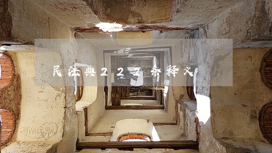 民法典222条释义 民法典222条释义