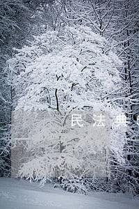 民法典545条如何理解 民法典545条如何理解