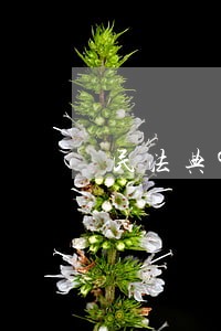 民法典993条 民法典993条