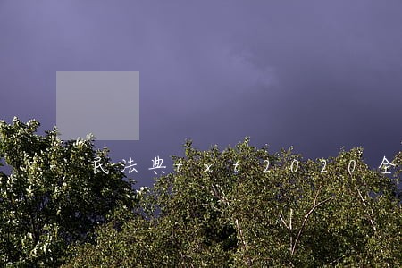 民法典txt2020全文下载 民法典txt2020全文下载