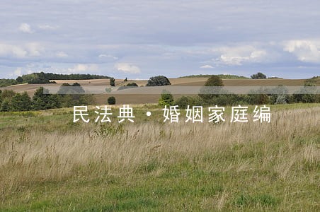 民法典·婚姻家庭编 民法典·婚姻家庭编