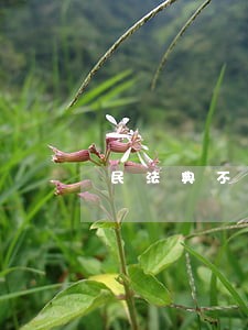 民法典不动产登记 民法典不动产登记