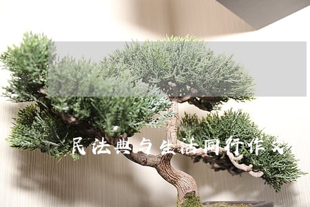 民法典与生活同行作文1000字 民法典与生活同行作文1000字