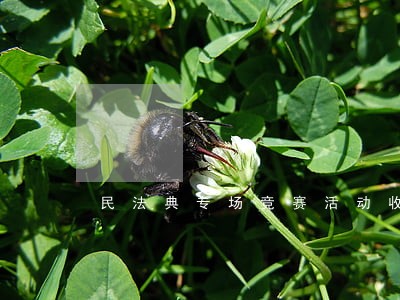 民法典专场竞赛活动收官 民法典专场竞赛活动收官