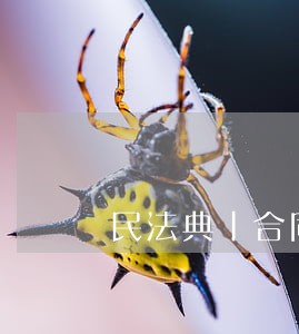 民法典丨合同期内涨价 民法典丨合同期内涨价
