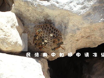 民法典中如何申请冻结债务人账户 民法典中如何申请冻结债务人账户