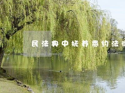 民法典中抚养费约法律规定 民法典中抚养费约法律规定