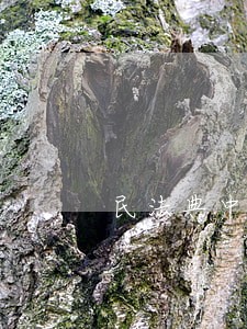 民法典中的公用设施指的是那些