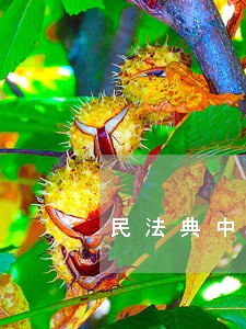 民法典中质押合同是担保合同吗 民法典中质押合同是担保合同吗