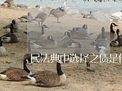 民法典中选择之债是什么意思 民法典中选择之债是什么意思