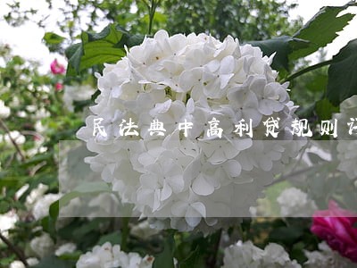 民法典中高利贷规则评价与分析 民法典中高利贷规则评价与分析