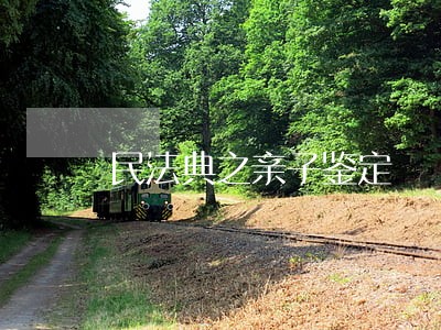 民法典之亲子鉴定 民法典之亲子鉴定