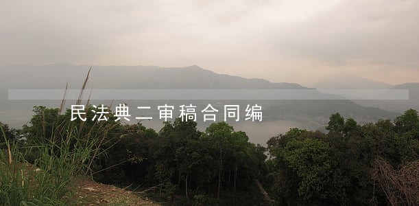民法典二审稿合同编 民法典二审稿合同编