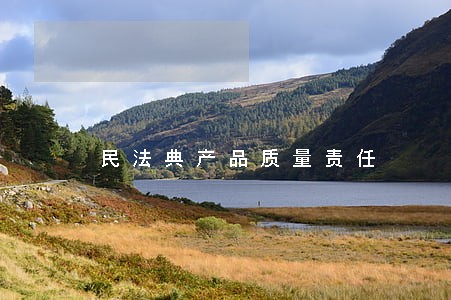 民法典产品质量责任