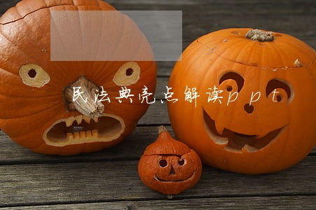 民法典亮点解读ppt 民法典亮点解读ppt