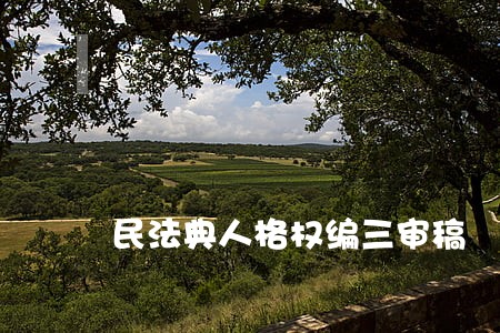 民法典人格权编三审稿 民法典人格权编三审稿