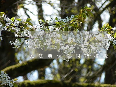 民法典伴你同行模板 民法典伴你同行模板