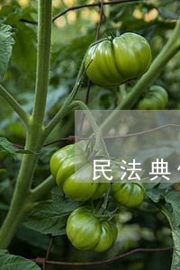 民法典作文提纲 民法典作文提纲