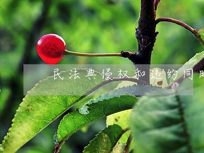 民法典侵权和违约同时主张 民法典侵权和违约同时主张