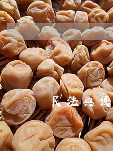民法典侵权责任编25处修改