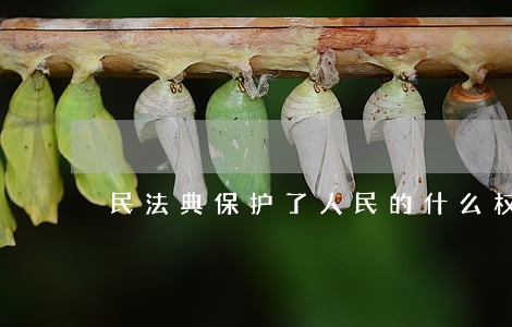 民法典保护了人民的什么权益 民法典保护了人民的什么权益