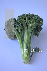 民法典借款合同可以约定管辖吗 民法典借款合同可以约定管辖吗