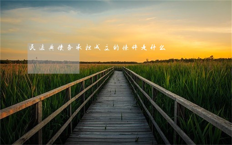 民法典债务承担成立的条件是什么 民法典债务承担成立的条件是什么
