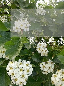 民法典债权担保有效期为多长时间