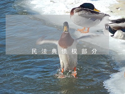 民法典债权部分 民法典债权部分