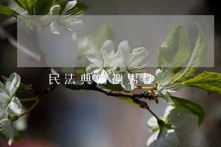 民法典偏袒男性 民法典偏袒男性