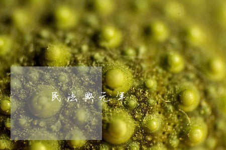 民法典元年 民法典元年