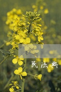 民法典关于信用卡逾期利息 民法典关于信用卡逾期利息