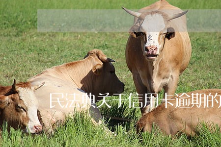 民法典关于信用卡逾期的司法解释 民法典关于信用卡逾期的司法解释