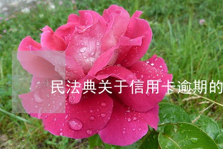 民法典关于信用卡逾期的条款 民法典关于信用卡逾期的条款