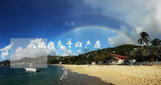 民法典关于公产房 民法典关于公产房