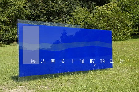 民法典关于征收的规定 民法典关于征收的规定