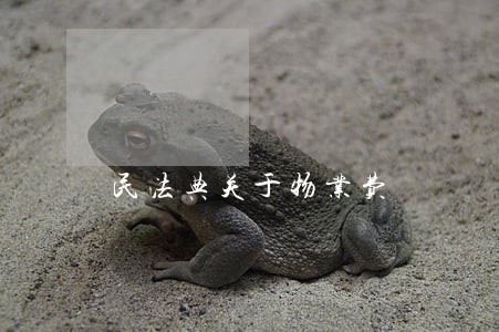 民法典关于物业费 民法典关于物业费