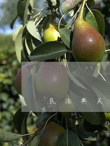 民法典关于贷款逾期 民法典关于贷款逾期