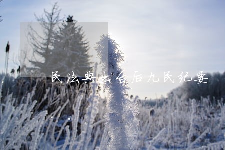 民法典出台后九民纪要 民法典出台后九民纪要