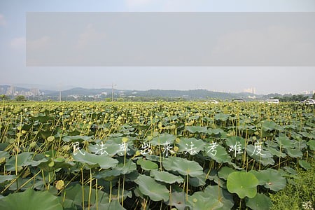 民法典出来法考难度 民法典出来法考难度