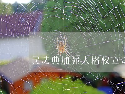 民法典加强人格权立法 民法典加强人格权立法