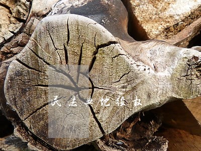 民法典地役权 民法典地役权