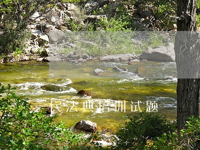 民法典培训试题 民法典培训试题