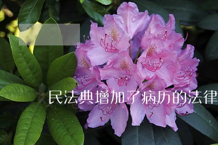 民法典增加了病历的法律责任 民法典增加了病历的法律责任