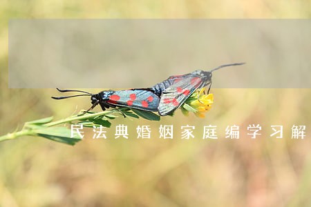 民法典婚姻家庭编学习解读1 民法典婚姻家庭编学习解读1