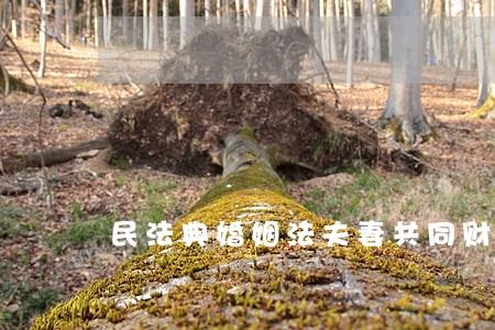 民法典婚姻法夫妻共同财产 民法典婚姻法夫妻共同财产